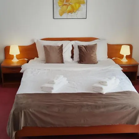 Pensiunea Bocca Del Rio Guest house *