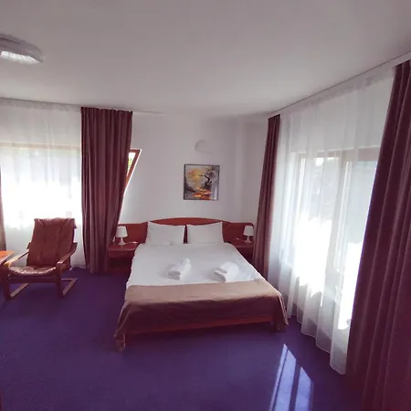 Guest house Pensiunea Bocca Del Rio *